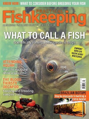cover image of Practical Fishkeeping